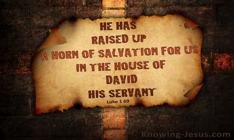 Luke 1:69 He Raised Up A Horn of Salvation (brown)